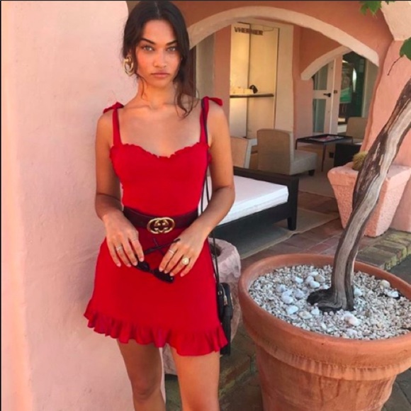 REFORMATION DRESS